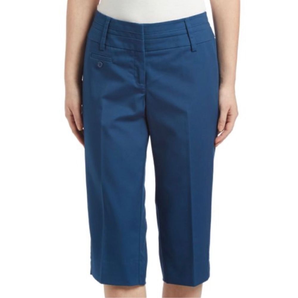 Zac & Rachel Womens Slim Crop Capri Pants Stretch Casual Summer Blue Size 12
